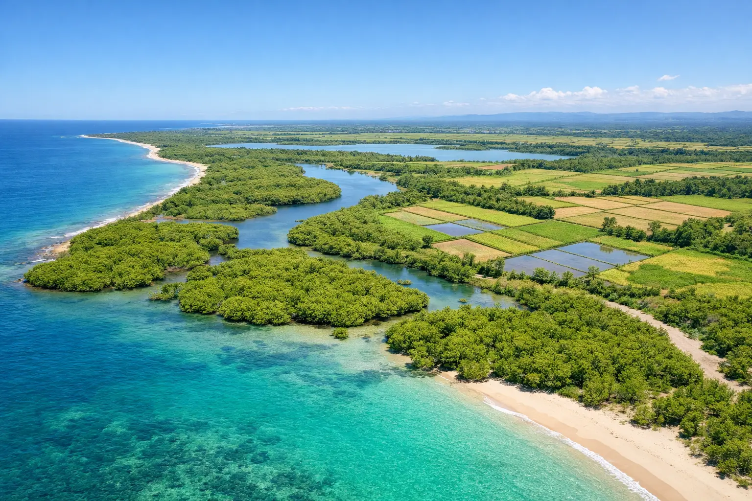 Advancing nature-based solutions to tackle climate change, water security and food crises.